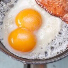 たまご/初卵/二黄卵/YouTube/クックパッド/おうちカフェ/... 二黄卵←左　右→初卵

産み始めの若鶏の…(3枚目)