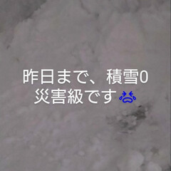 災害級/道がない/北海道ドカ雪 皆様、今年も宜しくお願い致します。
雪の…(2枚目)