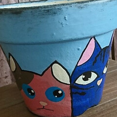 猫鉢🐱/ハンドメイド/鉢リサイクル/ペイント🖌️/素焼き鉢リメイク🖌️ おはようございます🐱
週末は素焼き鉢リメ…(2枚目)
