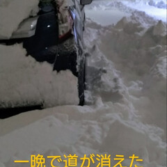 災害級/道がない/北海道ドカ雪 皆様、今年も宜しくお願い致します。
雪の…(1枚目)