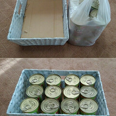 ドッグフード缶詰め/ダイソー ジョイフル本田のペットセンターで購入して…(1枚目)
