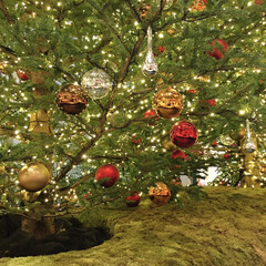 クリスマス/クリスマスツリー とあるショッピングモール
10mはありそ…(1枚目)