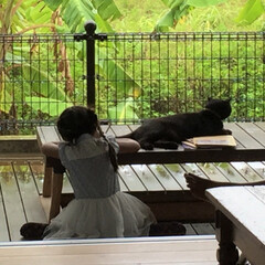 ここが好き/私の家/デッキ/雨の日/家づくり/猫/... 陽射しの強い宮古島。
デッキにかかる庇も…