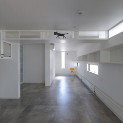 建築/住まい/建築デザイン/注文住宅/シンプル住宅 事務室天井に猫の通勤路
猫も通勤する事務…(1枚目)