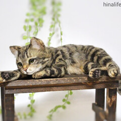 羊毛フェルト/猫/羊毛猫/ぬいぐるみ/あみぐるみ/ヒナリ/... ベンチに寝そべるキジトラ猫です。お腹のも…(1枚目)