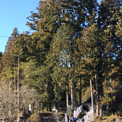 初詣/山の中/田峯観音/毎年恒例 毎年恒例の初詣へ行って来ました。
…