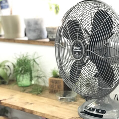 ハモサ/扇風機/雑貨/インテリア/住まい わが家の暑さ攻略法のコンテストに応募しま…