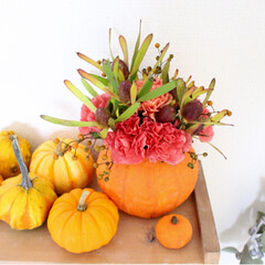 フラワーアレンジメント/おもちゃかぼちゃ/秋/ハロウィン 粘土で作った花器に生花を。(1枚目)