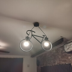 LED電球/調光/調色/おしゃれ照明 自転車型 吊り下げ照明設置✨
可愛くてオ…(2枚目)