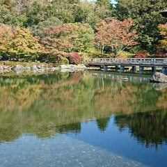 水面に映る紅葉/紅葉/日本庭園/池/公園/秋/... 今日のお出かけ公園、続きの日本庭園です🤗…(4枚目)