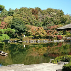 水面に映る紅葉/紅葉/日本庭園/池/公園/秋/... 今日のお出かけ公園、続きの日本庭園です🤗…(3枚目)