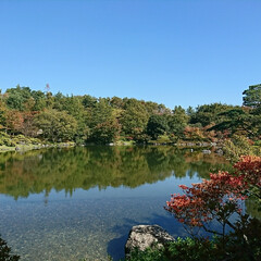水面に映る紅葉/紅葉/日本庭園/池/公園/秋/... 今日のお出かけ公園、続きの日本庭園です🤗…(2枚目)
