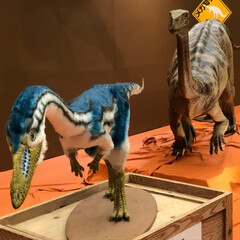 恐竜展/おでかけ 昨日はメガ恐竜展に行って来ました😊
子供…(5枚目)