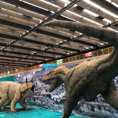 恐竜展/おでかけ 昨日はメガ恐竜展に行って来ました😊
子供…(3枚目)