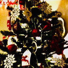 おうち/2018/クリスマス/クリスマスツリー/おうちごはんクラブ/おうちごはん/... クリスマスもこれで終わり‼️
最後はお家…(4枚目)