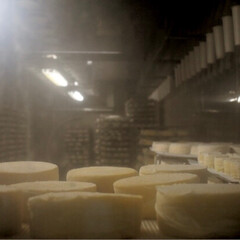 チーズ/フォロー大歓迎/おでかけ/旅行/グルメ/フード/... 隣県のチーズが有名な『セルパ』という町に…(2枚目)