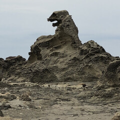 旅行 秋田の男鹿半島付近のゴジラ岩だそうです
…(1枚目)