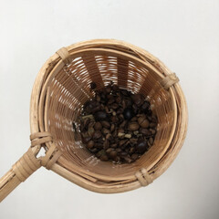 お茶/茶こし/竹/キッチン雑貨/雑貨/雑貨だいすき 竹の茶こし
目が粗いのでお茶の葉がかなり…(1枚目)