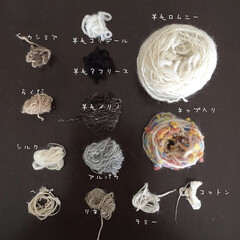 毛糸/糸を作る/繊維/紡ぎ糸/ハンドメイド いろんな毛を紡ぎました。
動物繊維
羊、…(1枚目)