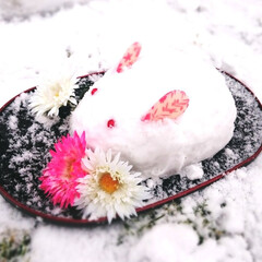 あけおめ/冬/ハンドメイド/雪うさぎ/うさぎ/雪 雪うさぎ！
耳は形の不揃いな桜柄のビーズ…(1枚目)