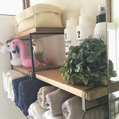 漆喰の壁/紫陽花ドライ/カインズ/タオル収納/DIY/雑貨/... 紫陽花ドライフラワー 完成しました♡
…