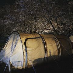 夜桜/花見キャンプ/カマボコテント/DOD 今日は晴れてるので、朝から溜まっていた洗…(1枚目)