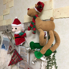 ハンガーフック/DIY/雑貨/クリスマス マイルーム壁面にハンガーフックをDIY
…(2枚目)