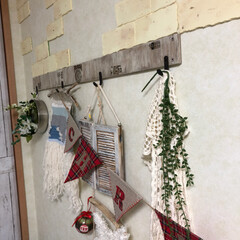 ハンガーフック/DIY/雑貨/クリスマス マイルーム壁面にハンガーフックをDIY
…(1枚目)