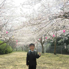 ランドセル/子供/男の子/一年生/桜/春/... 満開の桜の木の下

ランドセルからってる…(2枚目)
