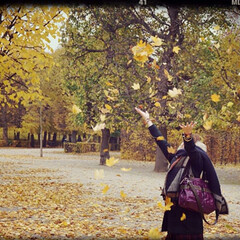 中欧ヨーロッパ/ヨーロッパ旅行/黄葉/紅葉/秋/おでかけ 黄葉🍁
綺麗すぎました----*｡.(♥…(1枚目)
