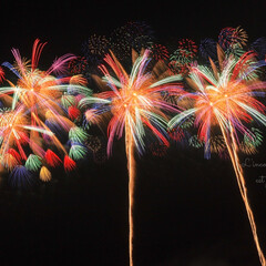 花火大会/夏の風物詩/花火/フォロー大歓迎/LIMIAファンクラブ/至福のひととき/... 花火大会𓂃𓂂𓋪𓐍𓈒
行ってきました｡:+…(1枚目)