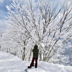 スノーボード女子/スノーボード/LIMIAおでかけ部/フォロー大歓迎/おでかけ/風景/... 今日は冷えてて木々に着いた雪が凍ってまし…(1枚目)