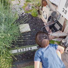 ガーデン/ラベンダー/お庭DIY/お庭/暮らしを楽しむ/令和元年フォト投稿キャンペーン/... 今年もお庭にラベンダーが
沢山咲きました…(1枚目)