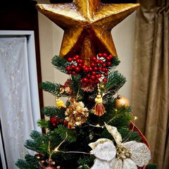 クリスマス/デコレーション/クリスマスツリー/星 クリスマスツリー！

大きな星はダンボー…(1枚目)