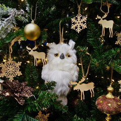 クリスマス/デコレーション/飾り/フクロウ/クリスマスツリー/クリスマス2019 このフクロウは今年購入しました。
一個で…(1枚目)
