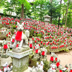 おでかけ 豊川神社に行ってきました☆圧巻の狐さんの…(1枚目)