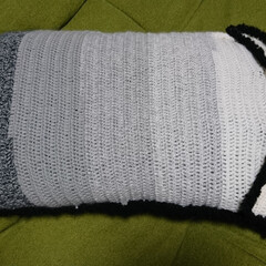 手芸/手編み/カバー/枕カバー/わたしの手作り 息子の枕カバー。なかなか上手く出来たかな🎵(2枚目)