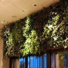 庭/ガーデニング/観葉植物/ナチュラル/装飾/デコラティブ インテリアの壁面緑化。象徴的なインパクト…(1枚目)