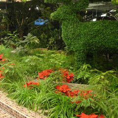 庭/ガーデニング/観葉植物/ナチュラル/装飾/デコラティブ/... 花壇部分。モスのトナカイとポインセチアを…(1枚目)