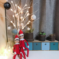 クリスマス準備/クリスマス雑貨/シンプル/白樺ツリー/クリスマスツリー/フォロー大歓迎/... クリスマスツリー。
皆さんのお家のツリー…(1枚目)