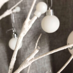 クリスマス準備/クリスマス雑貨/シンプル/白樺ツリー/クリスマスツリー/フォロー大歓迎/... クリスマスツリー。
皆さんのお家のツリー…(4枚目)