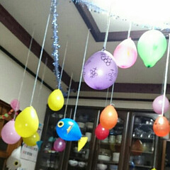 風船デコ 家族の誕生日、風船で部屋を飾りました。(1枚目)