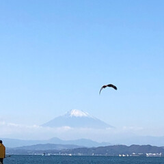 富士山/江ノ島/おでかけ 先日江ノ島に行ってきました〜！
富士山も…(3枚目)