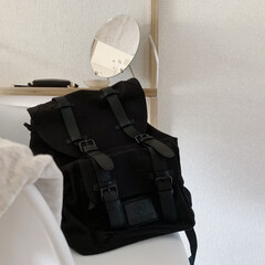 椅子 チェア イス イームズ おしゃれ イームズチェア 木脚 肘掛け 肘置き プロダクトデザイナーズチェア 北欧 PP-620(ダイニングチェア)を使ったクチコミ「お気に入りのバッグパック。
主人と兼用で…」(1枚目)