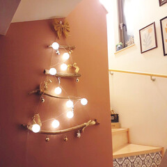 流木ツリー/クリスマスツリー/手作り/クリスマス/おうち時間/メリークリスマス/... 以前作った流木ツリー🎄
毎年飾っているん…(1枚目)