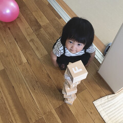 1歳4ヶ月/娘/おもちゃ/積み木/令和元年フォト投稿キャンペーン 積み木たくさん積めました~👏🏼
倒してい…(1枚目)