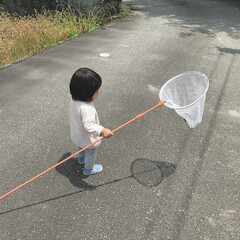 1歳4ヶ月/娘/外遊び/虫取り/令和元年フォト投稿キャンペーン 今日は虫取りをして遊びました。
と言って…(1枚目)