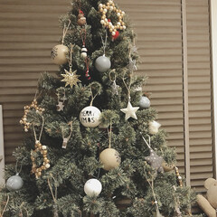 クリスマス/クリスマスツリー/100均/セリア/インテリア やっとクリスマスツリーを出しました🎄
子…(1枚目)