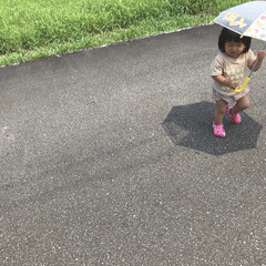 1歳6ヶ月/娘/傘/外遊び カンカン照りの中傘をさしてウロチョロする…(1枚目)