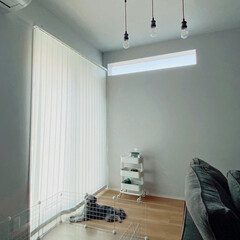 新築/暗い/シャッター/リフォーム/窓/一戸建て/... 「毎朝シャッターを開ける習慣が出来ました…